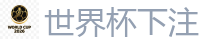 2026世界杯 (FIFA WorldCUP)中国外围指定网站